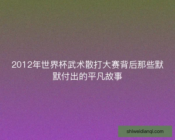 2012年世界杯武术散打大赛背后那些默默付出的平凡故事