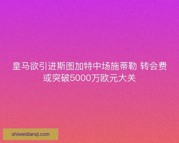 皇马欲引进斯图加特中场施蒂勒 转会费或突破5000万欧元大关
